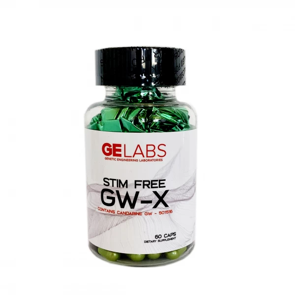 GE Labs GW-X