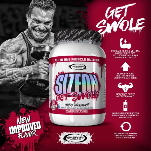 Gaspari Nutrition SizeOn Max Performance