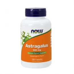 NOW Foods Astragalus 500 mg, Vitamíny - MonsterKing