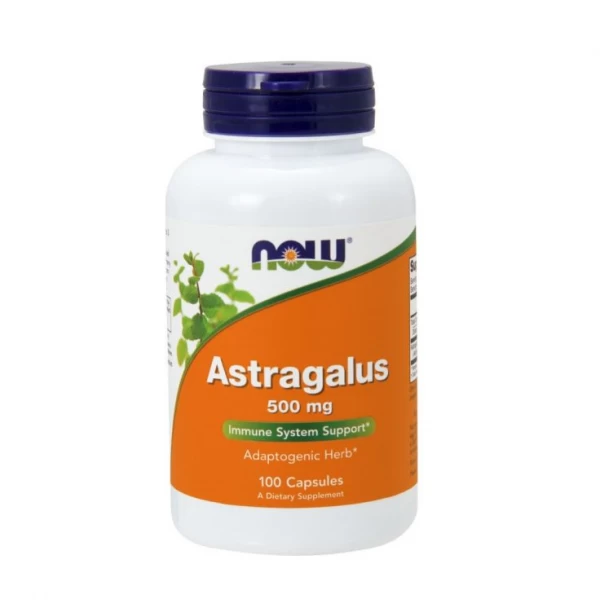 NOW Foods Astragalus 500 mg
