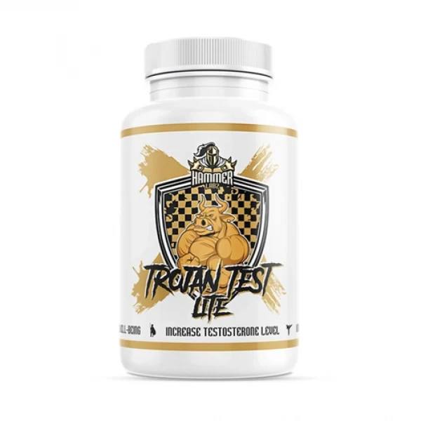 Hammer Labz Trojan Test