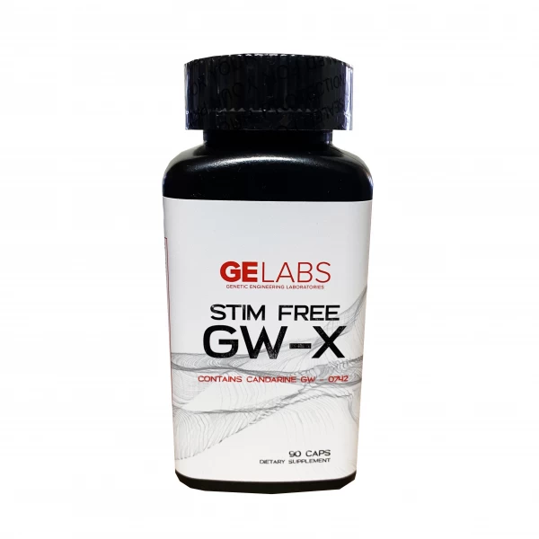 GE Labs GW-X